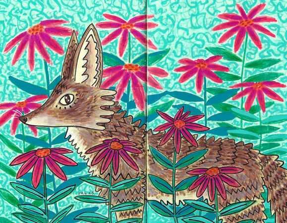 coyote &amp; coneflowers (2025)